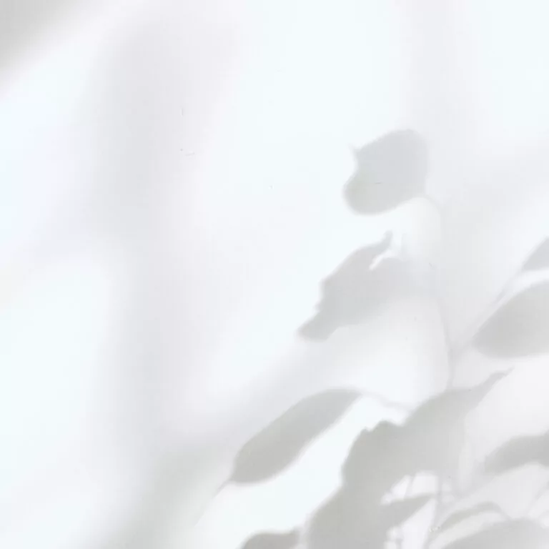 Weiße Kulisse mit Schatten. Symbolbild für die Bedeutung der Farbe Weiß.